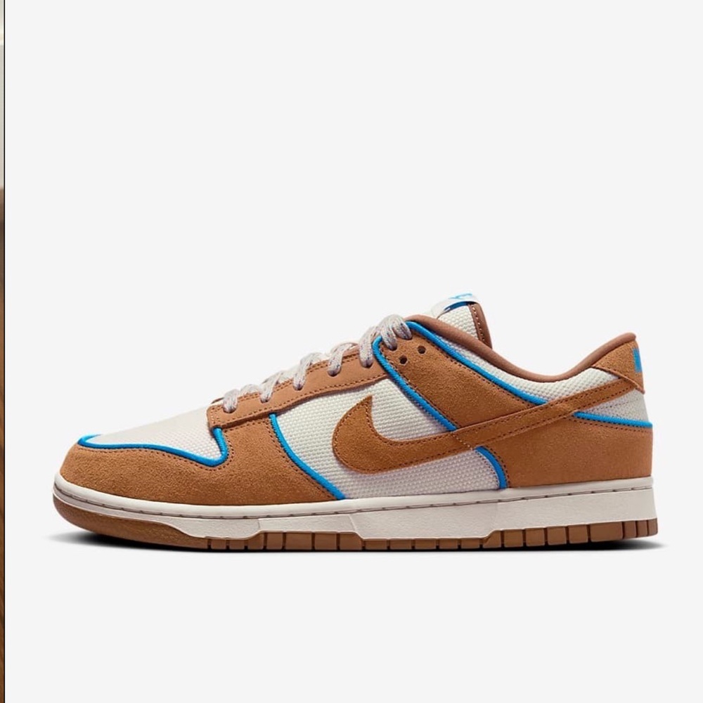 Nike Dunk Low Retro Premium Brown & Blue 10.5